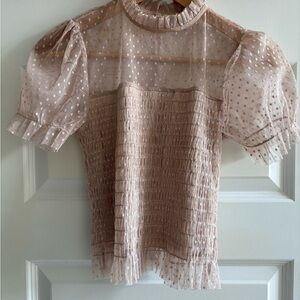 Windsor Sheer Puff Sleeve Blouse in Soft Pink Small
